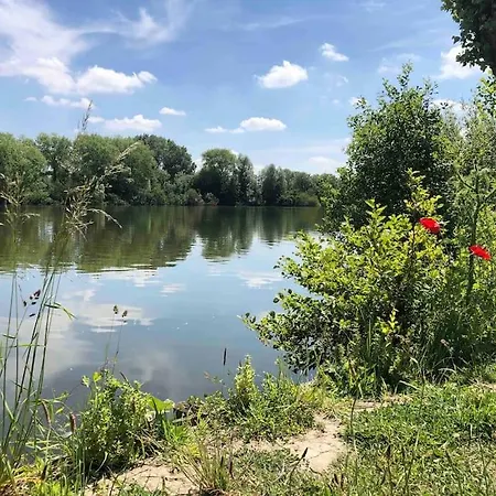 Aux Portes Des Lacs - - 11 Personnes - Spa-sauna - 4 בית נופש Ardres